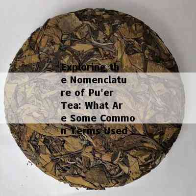 Exploring the Nomenclature of Pu'er Tea: What Are Some Common Terms Used?