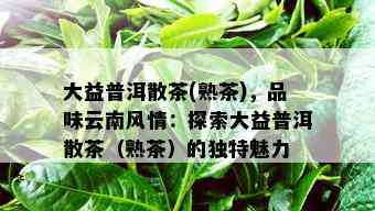 大益普洱散茶(熟茶)，品味云南风情：探索大益普洱散茶（熟茶）的独特魅力