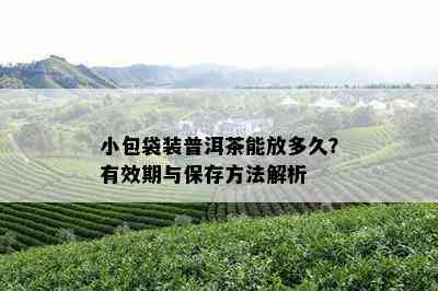 小包袋装普洱茶能放多久？有效期与保存方法解析