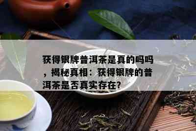 获得银牌普洱茶是真的吗吗，揭秘真相：获得银牌的普洱茶是否真实存在？