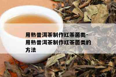 用熟普洱茶制作红茶菌类-用熟普洱茶制作红茶菌类的方法