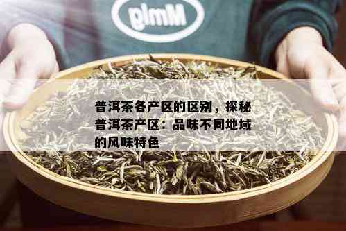 普洱茶各产区的区别，探秘普洱茶产区：品味不同地域的风味特色