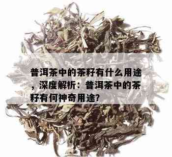 普洱茶中的茶籽有什么用途，深度解析：普洱茶中的茶籽有何神奇用途？