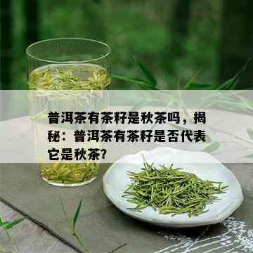 普洱茶有茶籽是秋茶吗，揭秘：普洱茶有茶籽是否代表它是秋茶？