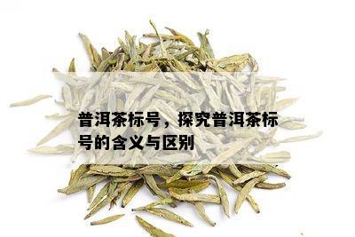 普洱茶标号，探究普洱茶标号的含义与区别