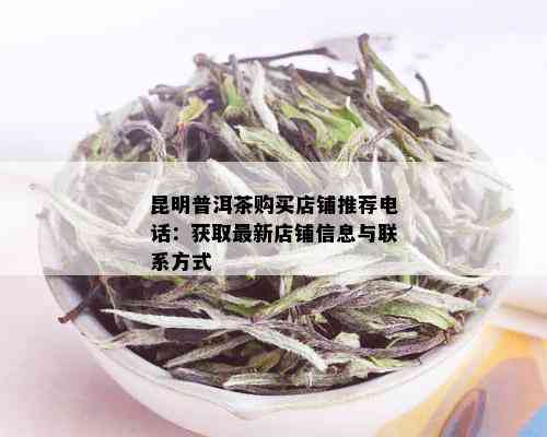 昆明普洱茶购买店铺推荐电话：获取最新店铺信息与联系方式