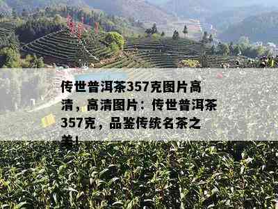 传世普洱茶357克图片高清，高清图片：传世普洱茶357克，品鉴传统名茶之美！