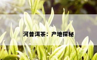 河普洱茶：产地探秘