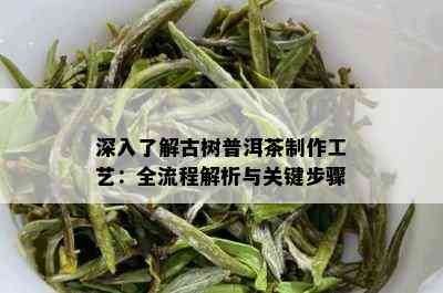 深入了解古树普洱茶制作工艺：全流程解析与关键步骤