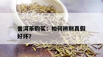 普洱茶购买：如何辨别真假好坏？