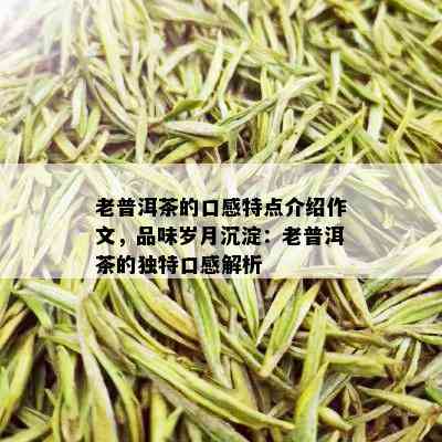 老普洱茶的口感特点介绍作文，品味岁月沉淀：老普洱茶的独特口感解析