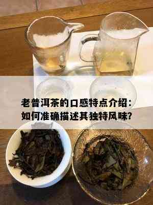 老普洱茶的口感特点介绍：如何准确描述其独特风味？