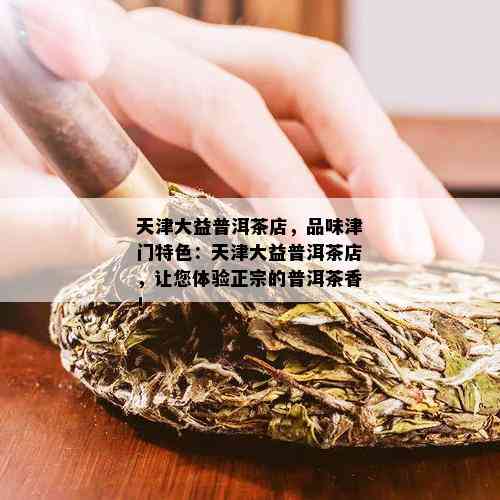 天津大益普洱茶店，品味津门特色：天津大益普洱茶店，让您体验正宗的普洱茶香！