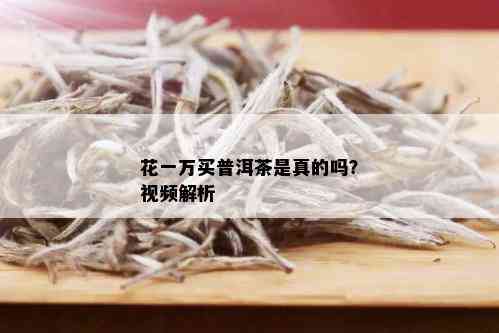 花一万买普洱茶是真的吗？视频解析