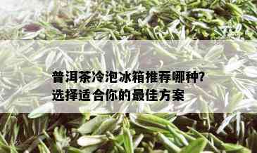 普洱茶冷泡冰箱推荐哪种？选择适合你的更佳方案