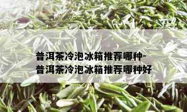 普洱茶冷泡冰箱推荐哪种-普洱茶冷泡冰箱推荐哪种好