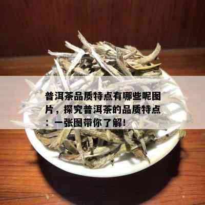 普洱茶品质特点有哪些呢图片，探究普洱茶的品质特点：一张图带你了解！