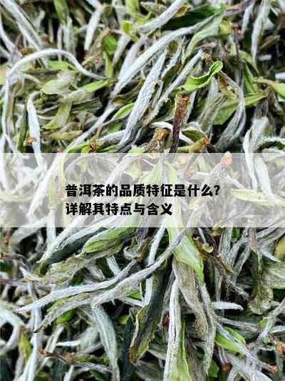 普洱茶的品质特征是什么？详解其特点与含义