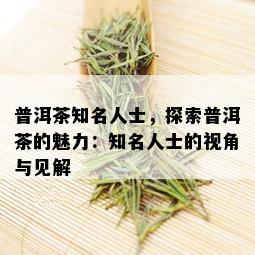 普洱茶知名人士，探索普洱茶的魅力：知名人士的视角与见解