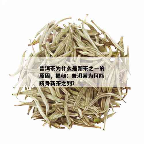 普洱茶为什么是新茶之一的原因，揭秘：普洱茶为何能跻身新茶之列？