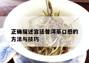 正确描述宫廷普洱茶口感的方法与技巧