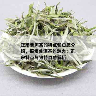 正宗普洱茶的特点和口感介绍，探索普洱茶的魅力：正宗特点与独特口感解析