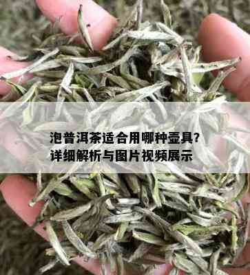 泡普洱茶适合用哪种壶具？详细解析与图片视频展示