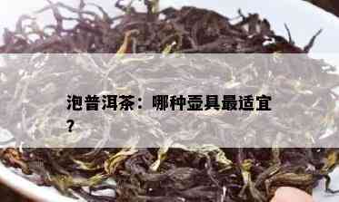 泡普洱茶：哪种壶具最适宜？