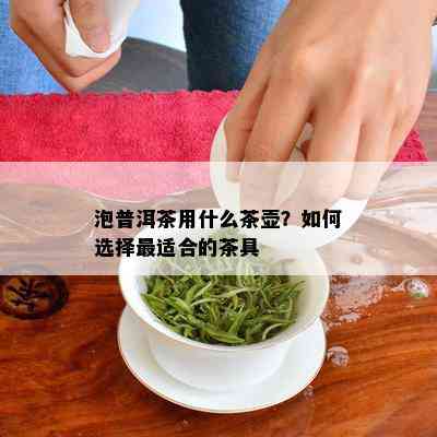 泡普洱茶用什么茶壶？如何选择最适合的茶具