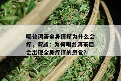 喝普洱茶全身痒痒为什么会痒，解惑：为何喝普洱茶后会出现全身痒痒的感觉？