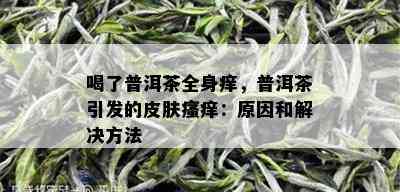 喝了普洱茶全身痒，普洱茶引发的皮肤瘙痒：原因和解决方法