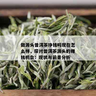 做源头普洱茶挣钱吗现在怎么样，探讨普洱茶源头的赚钱机会：现状与前景分析