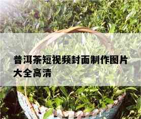 普洱茶短视频封面制作图片大全高清