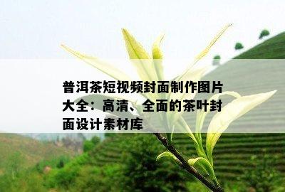 普洱茶短视频封面制作图片大全：高清、全面的茶叶封面设计素材库