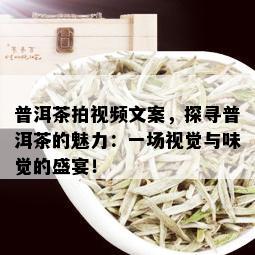 普洱茶拍视频文案，探寻普洱茶的魅力：一场视觉与味觉的盛宴！