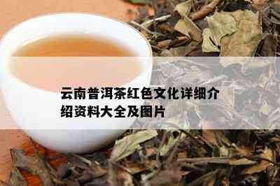 云南普洱茶红色文化详细介绍资料大全及图片