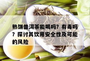 熟饼普洱茶能喝吗？有吗？探讨其饮用安全性及可能的风险