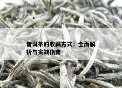 普洱茶的收藏方式：全面解析与实践指南