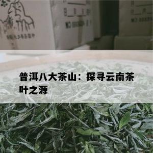 普洱八大茶山：探寻云南茶叶之源