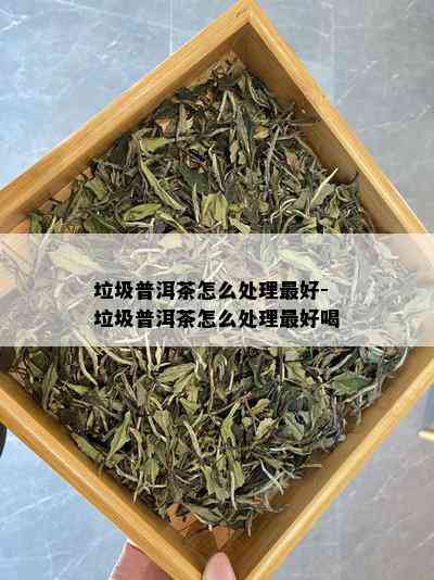 垃圾普洱茶怎么处理更好-垃圾普洱茶怎么处理更好喝