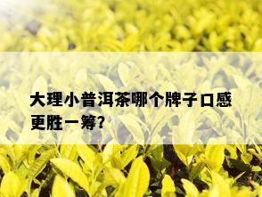 大理小普洱茶哪个牌子口感更胜一筹？