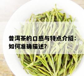 普洱茶的口感与特点介绍：如何准确描述？