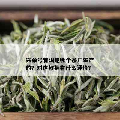 兴荣号普洱是哪个茶厂生产的？对这款茶有什么评价？