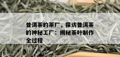 普洱茶的茶厂，探访普洱茶的神秘工厂：揭秘茶叶制作全过程