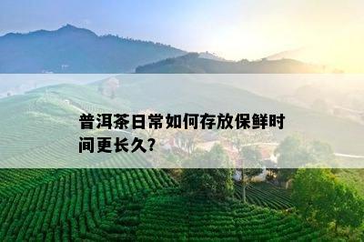 普洱茶日常如何存放保鲜时间更长久？