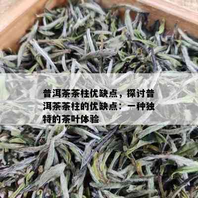 普洱茶茶柱优缺点，探讨普洱茶茶柱的优缺点：一种独特的茶叶体验