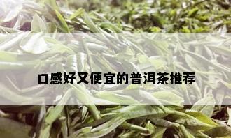 口感好又便宜的普洱茶推荐