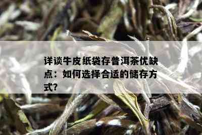 详谈牛皮纸袋存普洱茶优缺点：如何选择合适的储存方式？