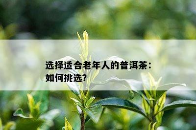 选择适合老年人的普洱茶：如何挑选？