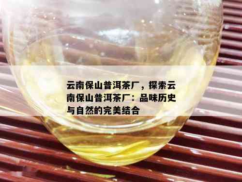 云南保山普洱茶厂，探索云南保山普洱茶厂：品味历史与自然的完美结合